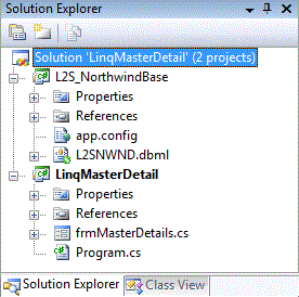 Solution Explorer